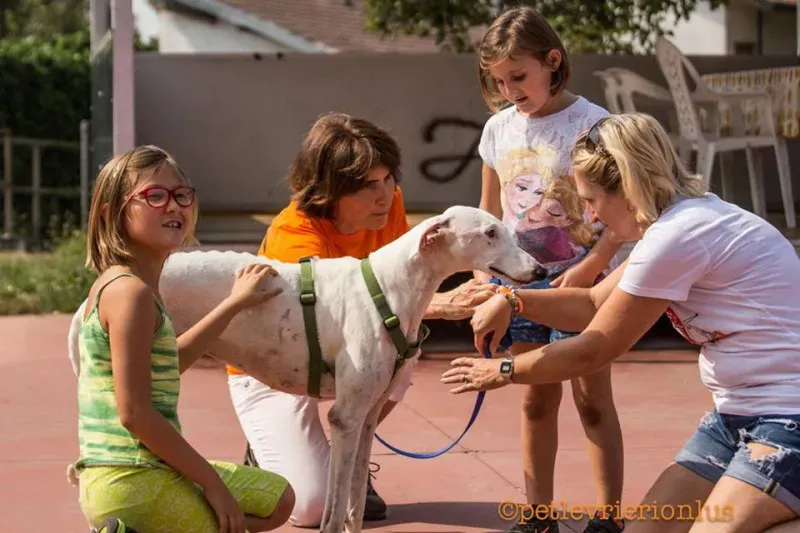 14232529 1115273635223157 7789221228463169747 n