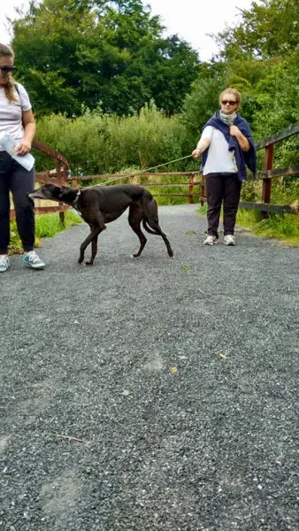 14232652 1104949252922262 32872267974415838 n