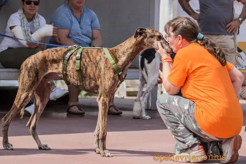 14233030 1115274388556415 7036765503913683559 n