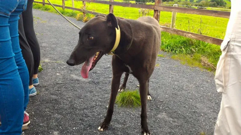 14233037 1104899349593919 8802906221671906918 n