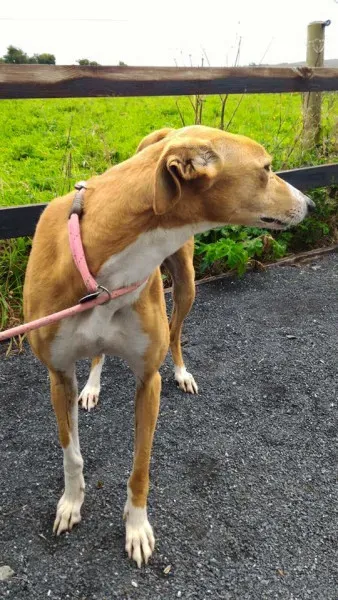 14233101 1104967092920478 8388046333325433217 n