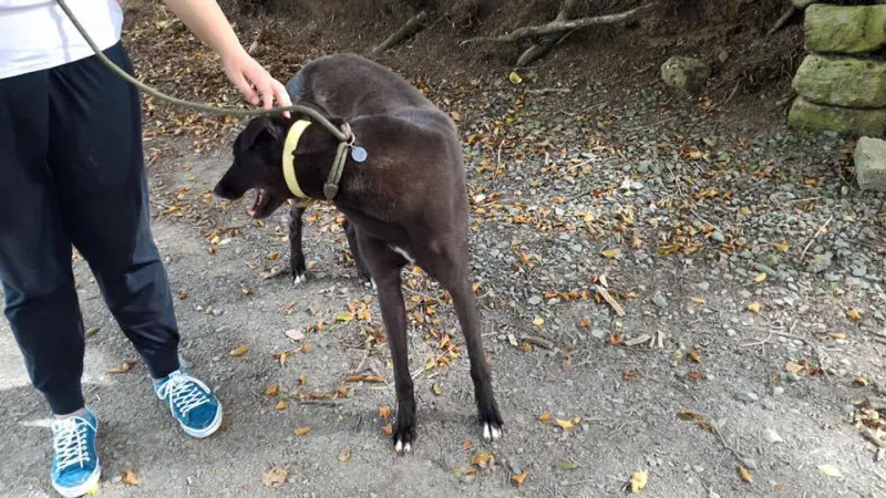 14233127 1104899296260591 1119918011750463321 n