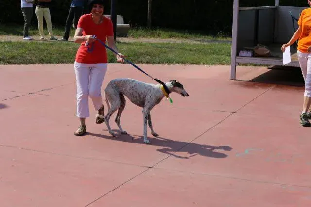 14233158 1113538625396658 3545887253351901744 n