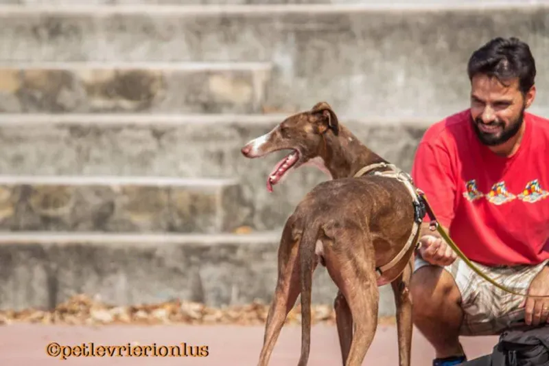 14233175 1115274638556390 8780521485148186586 n