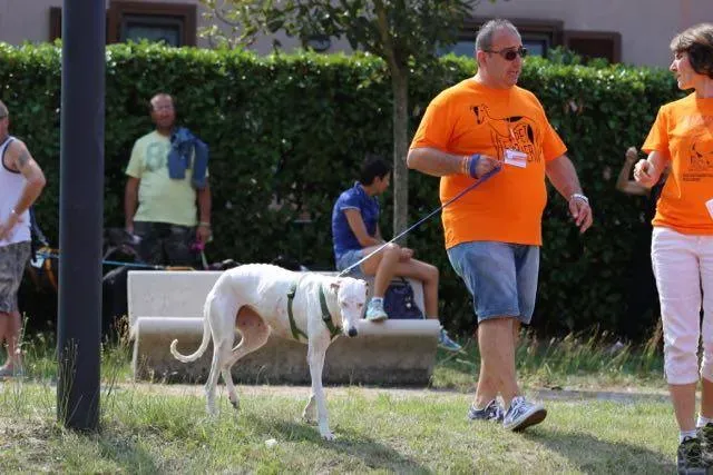 14233190 1113541158729738 313874975117436550 n