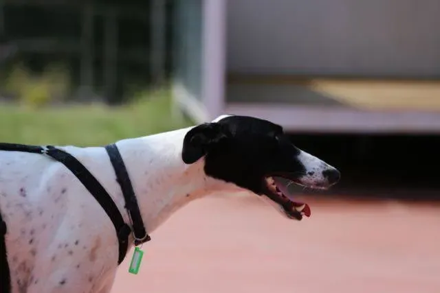 14237494 1113541515396369 169859610213859659 n