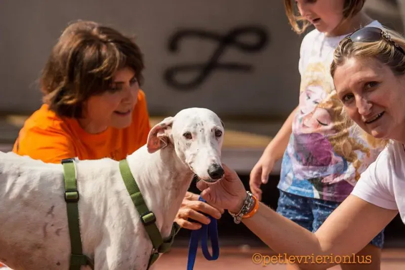 14238128 1115273551889832 7027604776107422065 n