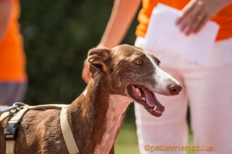 14238251 1115273798556474 7868305870772690956 n