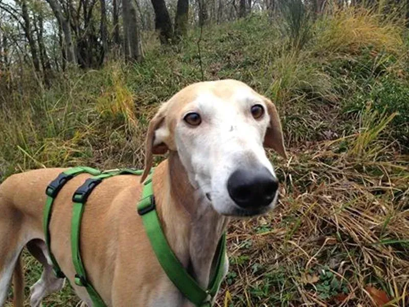 1424356 10202981894534800 501281113 n