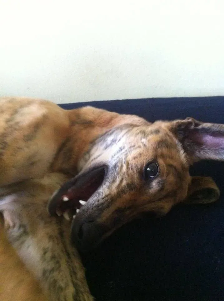 1424567 421625654630110 312676155 n