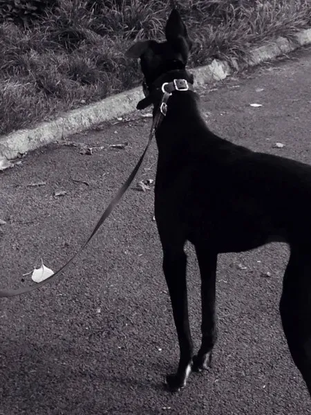 14247736 10210507357589856 1642822308 o