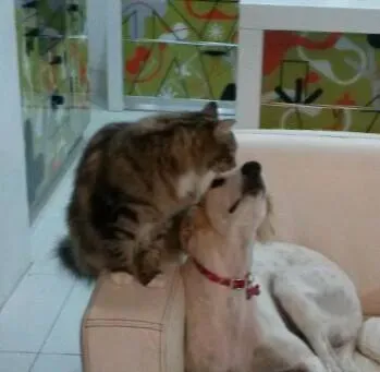 1425571 648187428534975 242427128 n