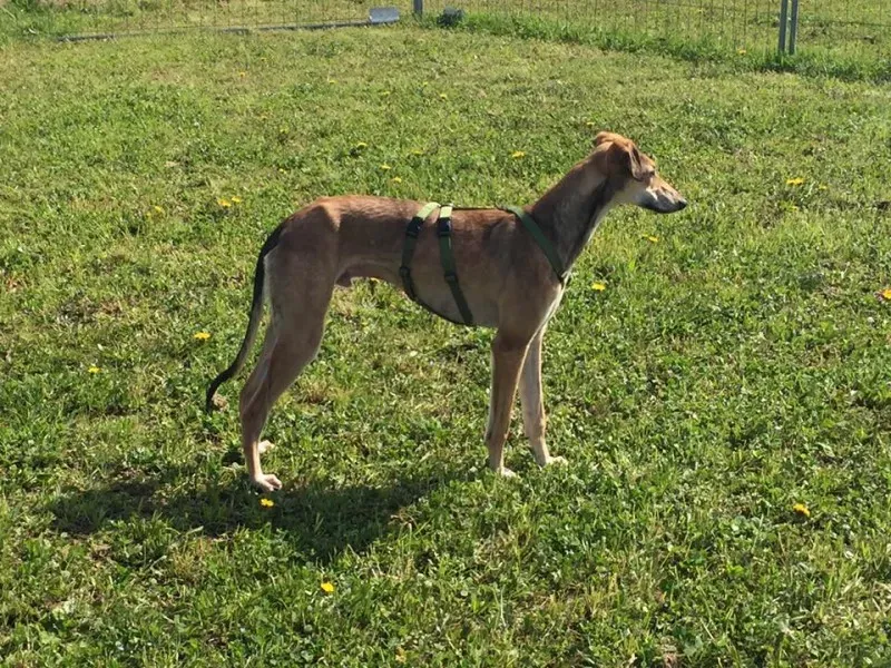 1425577 10209180444452255 7960681682491348331 n