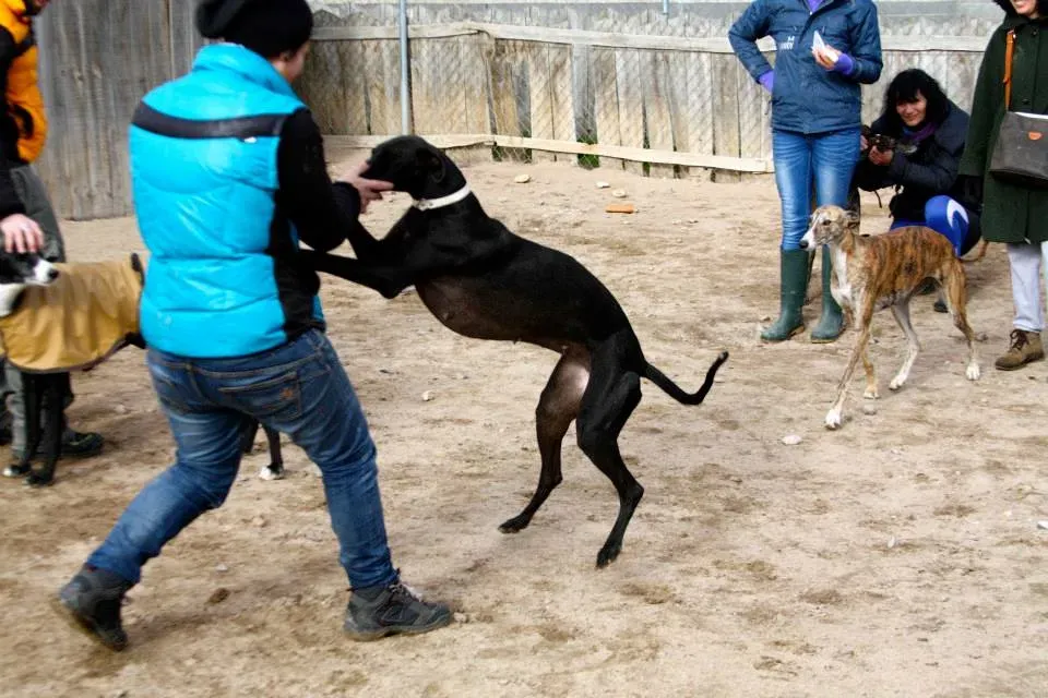 1425645 552253721525154 739496873 n