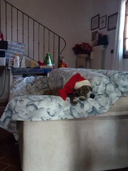 1426315 204094466599686 3364170888216630711 n