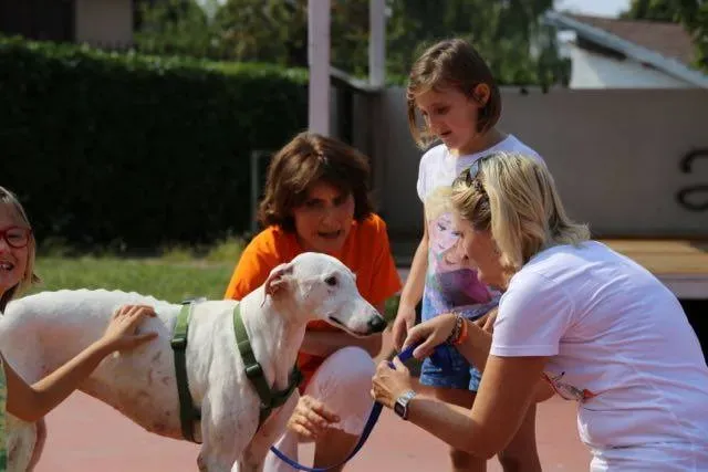 14264818 1113541282063059 871103667760092837 n