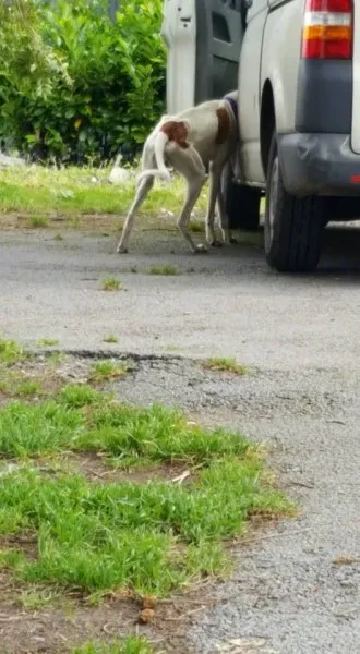 14264834 10154681003946255 5673565067773901978 n