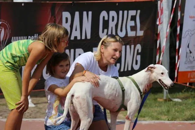 14264933 1113541352063052 2009106916580818643 n