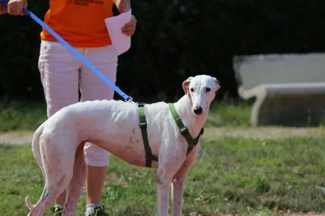 14265003 1113541228729731 5400631816465899012 n