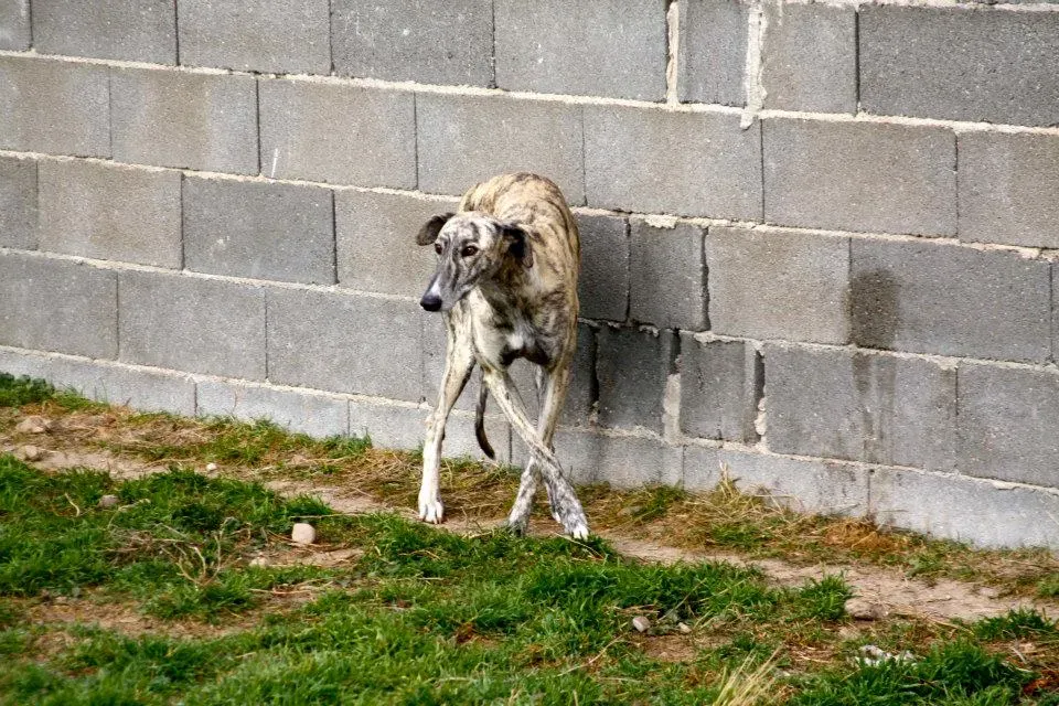 1426573 552120718205121 956758415 n