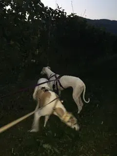 14291813 10207500675618422 1879922721956214267 n