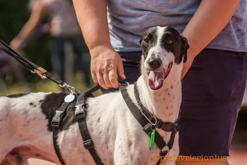 14291849 1115273921889795 8818559712098084075 n