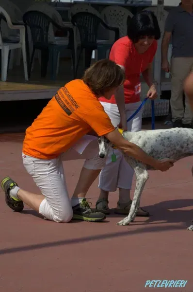 14291930 1115889998494854 860634819053155891 n