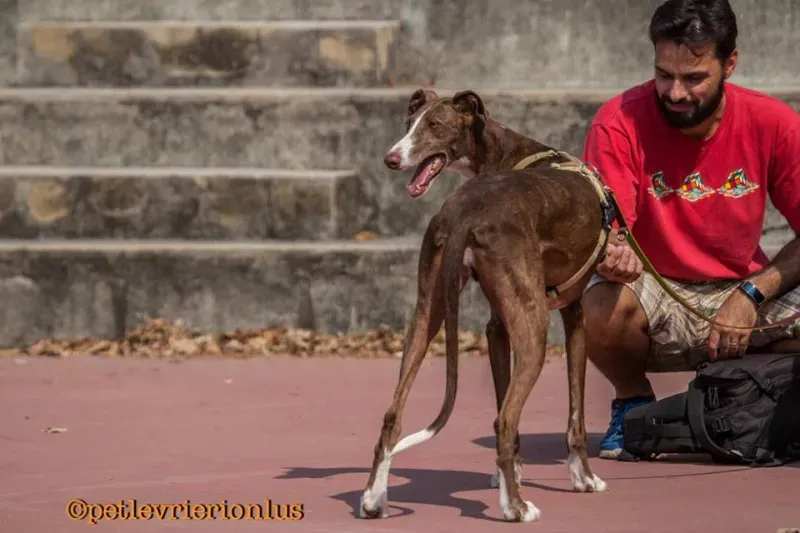 14292243 1115274658556388 2261133330818674127 n