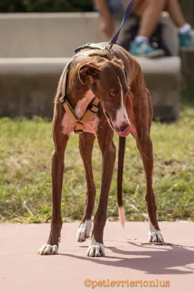 14292444 1115273735223147 2517554099050328395 n