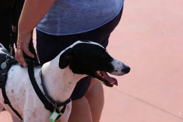 14316718 1113541818729672 2356139998878270385 n