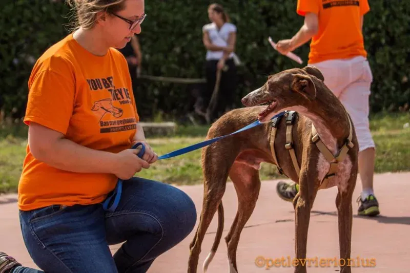 14316725 1115273811889806 7531586785180653761 n