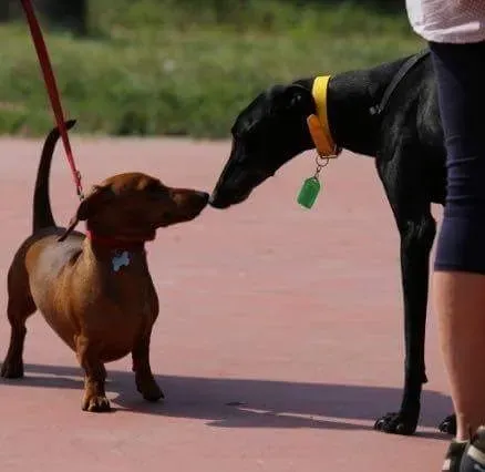 14316942 10210299649117888 2885767494545409664 n