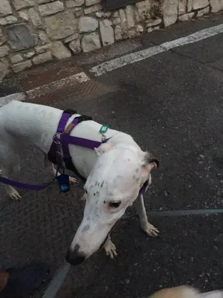 14317449 10207500676298439 2509428440454175479 n