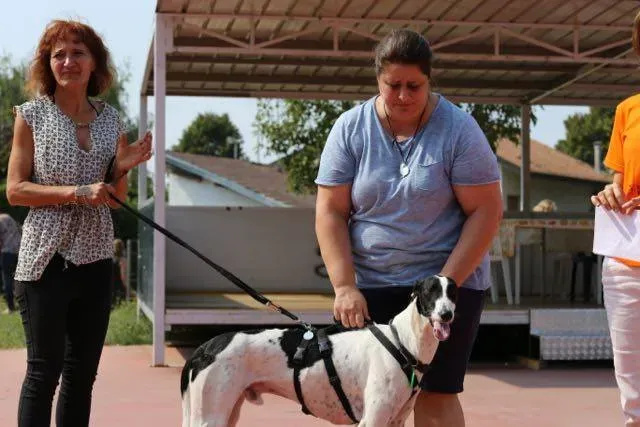 14317484 1113541688729685 5988010863798253346 n