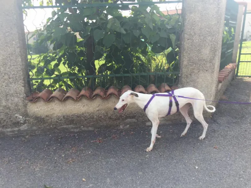 14317534 10207484240327550 3879556991091485708 n