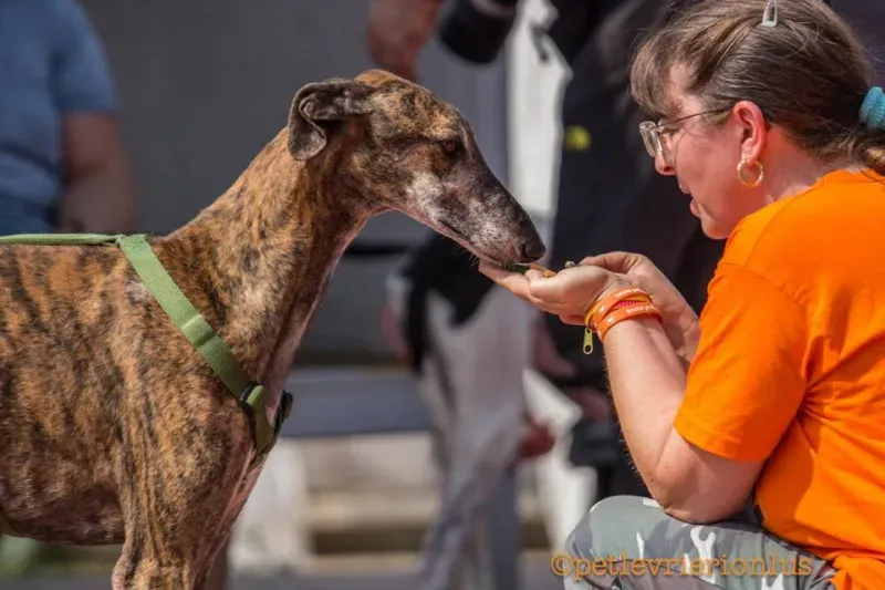 14317561 1115274488556405 5647550656390711822 n