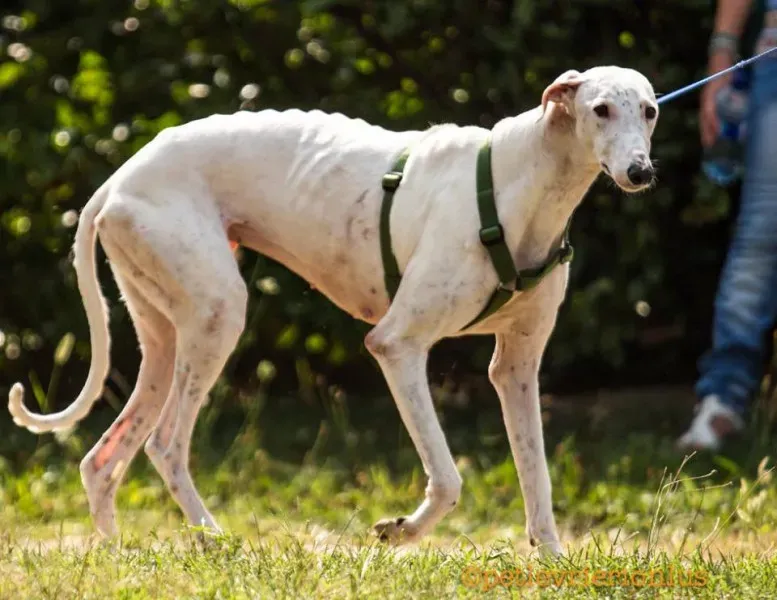 14317564 1115273515223169 3563943937988883769 n