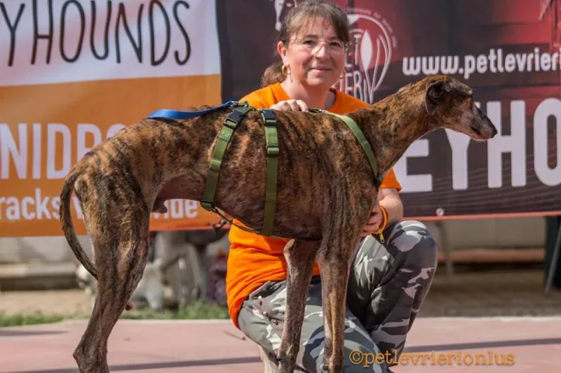 14317580 1115274531889734 6804041788639174582 n