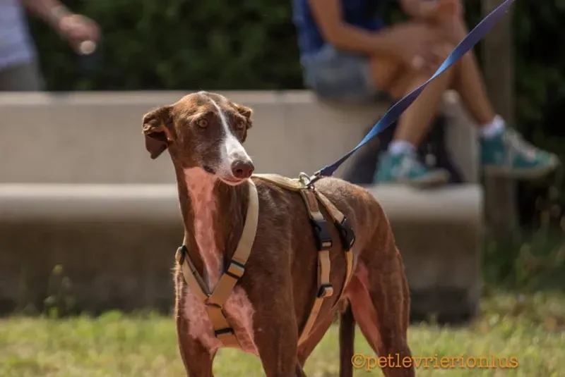 14317626 1115273718556482 5462243473325665685 n