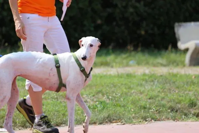 14322195 1113541188729735 1240462876031052675 n