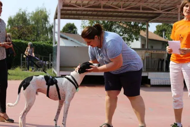 14330077 1113541582063029 6835530900854830989 n