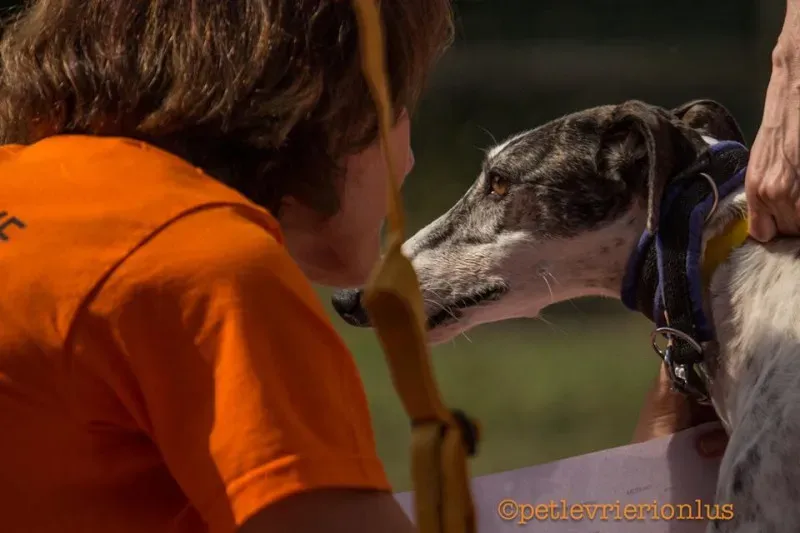 14330130 1114881268595727 9075188942300814561 n