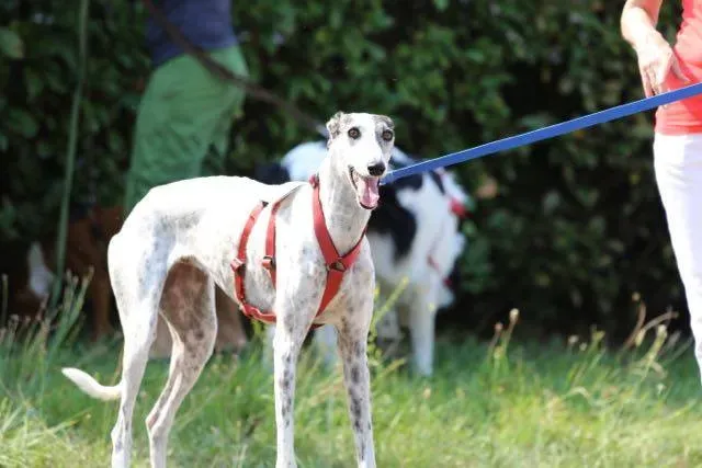 14330173 1113539952063192 1046486970527496135 n