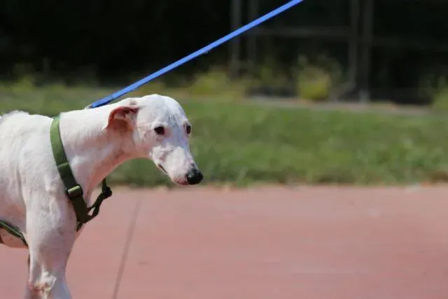 14332920 1113541245396396 814278400603961235 n