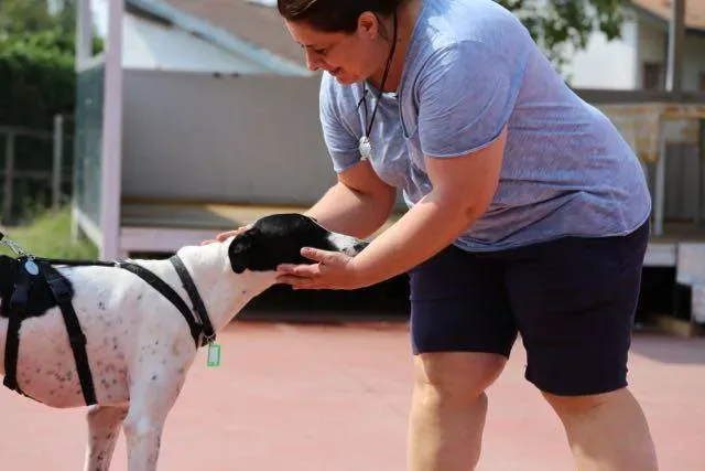 14333122 1113541558729698 3728423925017722609 n