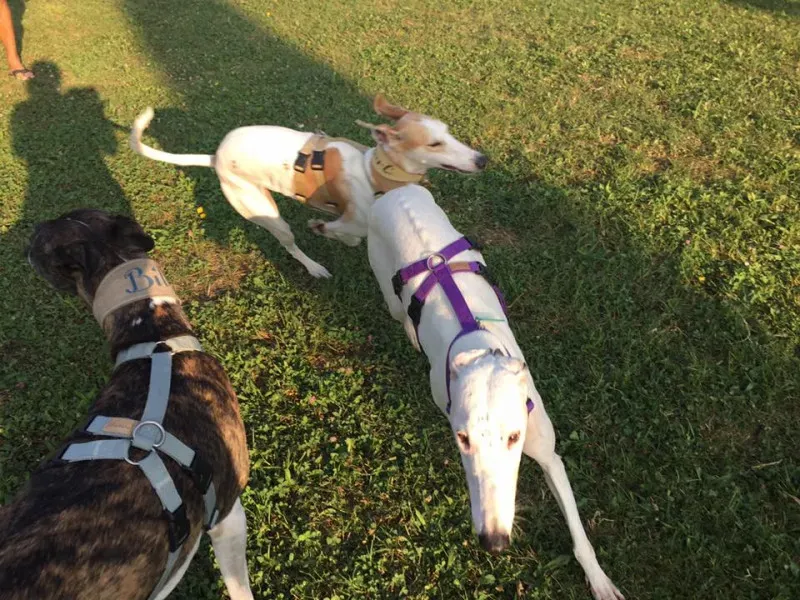 14344323 10207505667903226 4681539964662964126 n