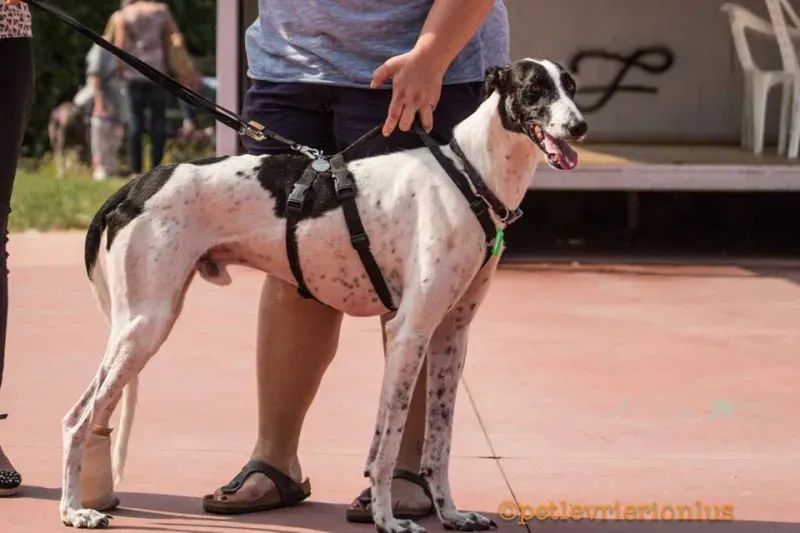 14344324 1115274005223120 821554824194948132 n