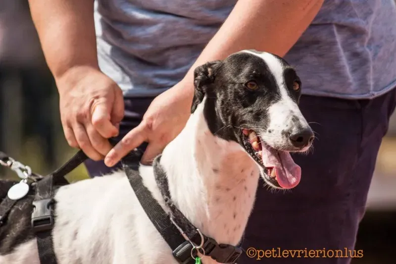 14344708 1115273985223122 6852754342740936888 n