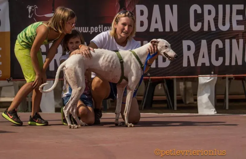 14355533 1115273678556486 179803105588482398 n