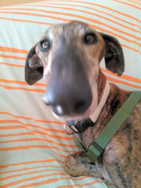 14355599 1783606381921987 1183926663532188109 n